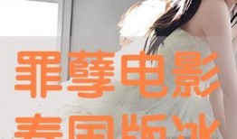 罪孽手机在线观看,揭秘网络世界的黑暗面